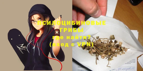 наркотики Бородино