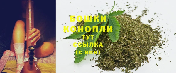наркотики Бородино