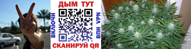 Канабис семена Бежецк